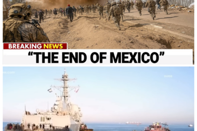 $13B Cartel Empire Meets US Navy P0wer at the B0rder — Then THIS Happened...