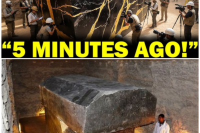 🦊EGYPT’S UNSOLVABLE RIDDLE EXPLODES OPEN: COLOSSAL GRANITE BOXES DEFY PHYSICS, SPARKING CLAIMS NO HUMAN HANDS COULD HAVE MADE THEM 😱