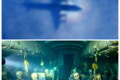 👻 “GHOST FLIGHT” MH370: POV CAMERAS ENTER THE COCKPIT AND WHAT THE LENS CAPTURED FEELS STRAIGHT OUT OF A NIGHTMARE ✈️ With lights flickering across dusty controls and switches frozen mid-position, the camera glides through the silent flight deck like an uninvited guest, every shadow stretching too long, every seat eerily empty, turning a routine inspection into a spine-tingling walk through the last moments of a plane that simply vanished from the world 👇