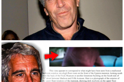 “Epstein Files Update: ‘Documents to the FBI Unveil a Nightmarish Reality!’ 😱📖🔍”  In a startling update, the Epstein files have revealed documents sent to the FBI that unveil a nightmarish reality of abuse and exploitation. These horrifying findings paint a grim picture of the extent of Jeffrey Epstein’s operations and the high-profile connections that may have enabled his crimes. As the investigation deepens, the public is demanding accountability and transparency. What other shocking truths will emerge from these files? Brace yourself for the revelations that are about to unfold! 👇