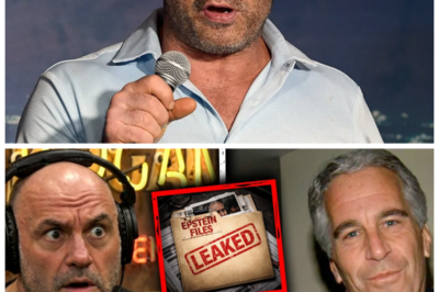 “Joe Rogan Reveals Disturbing Epstein Connection: ‘This Could Change Everything We Know!'” In a dramatic twist that has left fans in disbelief, Joe Rogan has revealed a disturbing connection involving Jeffrey Epstein, stating, “This could change everything we know!” As he dives deep into the implications of this shocking detail, listeners are left questioning the narratives surrounding Epstein’s life and the powerful individuals who have managed to evade scrutiny. With each new piece of information, the potential for a larger scandal looms, and the public is left on the edge of their seats, desperate for answers. What other revelations could emerge, and how will they reshape our understanding of this dark chapter in history?  The full story is in the comments below.
