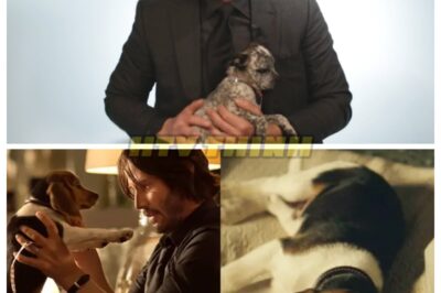 Keanu Reeves Plays With Puppies