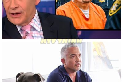 FBI RAIDED César Millán’s Mansion — And NO ONE Was Ready for What They Found! jn