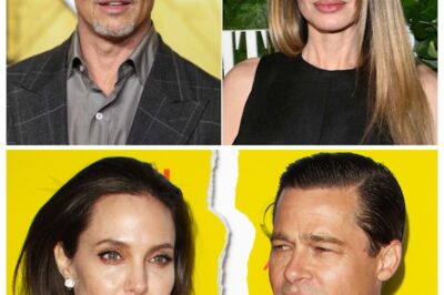 Why did Brad Pitt “push” his ex-wife into a corner?