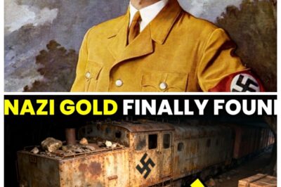 JUST NOW: Lost Nazi Gold Train from WWII Found! Guess Where. vd