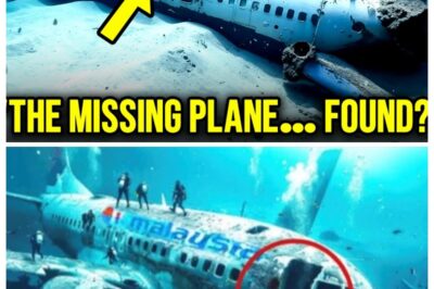 After 11 Years, Underwater Drone Reveals New Evidence – MH370 Mystery 7l