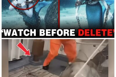 What Did Deep-Sea Researchers Capture on Their Cameras—And Why Are Scientists Calling This Unidentified Ocean Figure One of the Most Unsettling Discoveries Ever Recorded Underwater? In the silent darkness miles below the surface, an eerie shape drifted into view—something so strange, so unexpected, that the research team froze as their instruments kept rolling. The obscure details surrounding this mysterious deep-sea encounter are sparking intense debate and pushing readers to click the article link in the comment before the footage disappears from attention.7l