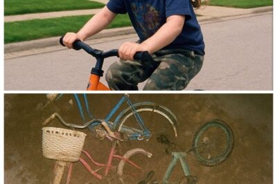 Boy Vanished While Riding His Bike – 8 Years Later, Renovators Found a Chilling Secret in a House… rb