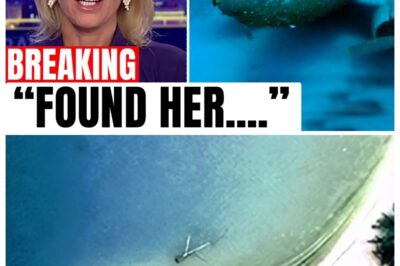 Amelia Earhart’s Missing Plane Has Been Discovered After 88 Years rb