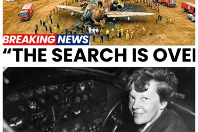 After 88 Years, Amelia Earhart’s Plane Was FINALLY Found! ss