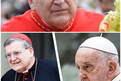 Pope Francis Silences His Fiercest Critic: The Demotion Of Cardinal Burke!