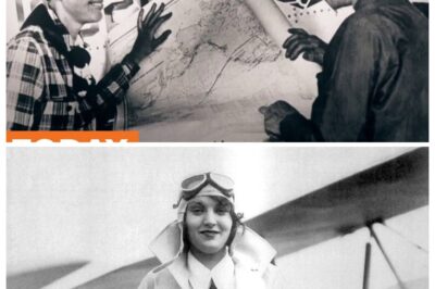 Inside the New Push to Find the Missing Plane of Amelia Earhart rb