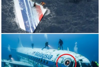 🌊 MH370 After 11 Years: The Chilling Truth Surfaces—Scattered Wreckage, Grim Clues, and the Bottomless Deep Finally Paint a Picture Too Haunting to Ignore ✈️ — What the world once called a “mystery” now feels like a slow-burn horror story, with barnacle-covered fragments washing ashore like messages from the abyss, each piece whispering of a final plunge into darkness, turning hope into dread as families brace for answers that may hurt more than the silence ever did 👇