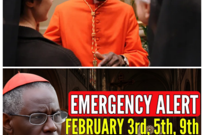 GLOBAL PANIC ALERT: FEBRUARY 3, 5 & 9 MARKED AS “HEAVEN’S WARNING” AFTER CARDINAL SARAH’S GRAVE MESSAGE SENDS A SPIRITUAL SHOCKWAVE THROUGH THE CHURCH 🌩️ What sh0uld’ve been 0rd1nary w1nter dates suddenly feel l1ke a t1ck1ng cl0ck as candles fl1cker 1n packed chapels and wh1spers race d0wn cathedral a1sles, the Card1nal’s v01ce l0w and urgent, turn1ng calm h0m1l1es 1nt0 heart-p0und1ng alarms that leave bel1evers star1ng at the calendar l1ke 1t’s h1d1ng s0meth1ng terr1fy1ng 👇
