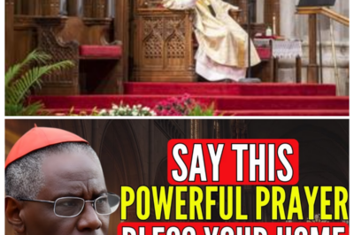 🙏 MIDNIGHT SHIELD: CARDINAL ROBERT SARAH URGES FAMILIES TO WHISPER THIS NEW YEAR PROTECTION PRAYER BEFORE THE CLOCK STRIKES, CALLING IT A SPIRITUAL “ARMOR” AGAINST HIDDEN EVIL, DARK FORCES, AND UNSEEN ATTACKS LURKING AROUND YOUR HOME 🙏 What sounds like a simple blessing suddenly feels like a holy alarm bell, candles flickering and doors creaking as believers clutch rosaries, convinced that one forgotten prayer could mean the difference between peace and chaos 👇