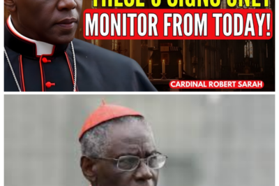 5 Clear Signs God Is Protecting You Right Now — Even If You Feel Alone Cardinal Robert Sarah 6p