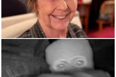 🐘 “Expert Analysis: Ex-FBI Agent Breaks Down New Video Evidence in Nancy Guthrie Case!” 👁️ “A former FBI special agent has taken a deep dive into the newly surfaced video evidence in the Nancy Guthrie case, revealing shocking clues that could alter the investigation’s trajectory! What critical observations did he make, and how could they influence the search for answers? ‘In the pursuit of justice, every detail may hold the key!’ Join us as we unpack the revelations from this expert analysis and what they mean for the case moving forward!” 👇