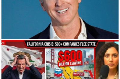 🐘 “California Governor in Full Panic Mode as Shocking Report Reveals Over 61,650 Workers Laid Off in January — The Worst Month for Jobs in History! 📉 What Will This Mean for the Golden State’s Future?” “Who knew that the sunshine state could turn so dark so quickly?” 👇 In a devastating turn of events, California’s Governor is scrambling for solutions as a staggering 61,650 workers lost their jobs in January, marking the worst month for employment in state history. As businesses shutter and the economy falters, the implications of this mass layoff are sending shockwaves through the political landscape. With mounting pressure to act and restore hope, the Governor faces an uphill battle against a growing tide of despair, leaving Californians wondering: what does the future hold for the Golden State in these unprecedented times?