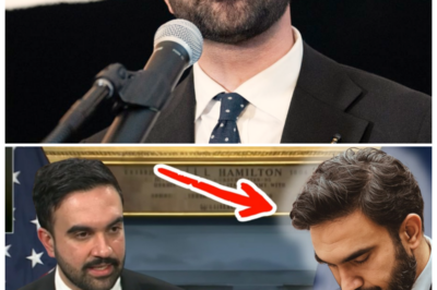 🐘 ASTOUNDING: Mamdani’s Property Tax Plan – Will It Really PUNISH New Yorkers, or Is There More to This Story? 🏙️ “A tax increase is the last thing we need!” Mayor Mamdani’s decision to raise property taxes has sparked outrage and disbelief among residents. As the city faces mounting pressure, many are questioning the motives behind this drastic measure. Is this an attempt to balance the budget on the backs of struggling families, or is there a hidden agenda at play? With anger boiling over and protests looming, the political landscape of New York is on the brink of upheaval. What will the fallout look like? 👇