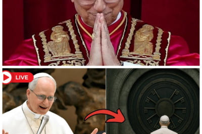 “Pope Leo XIV’s Unprecedented Journey: ‘We Must Face Our History!’ 👁️📜🌍” In a historic move that has left many in awe, Pope Leo XIV has opened a vault that no pope before him ever entered, proclaiming, “We must face our history!” This groundbreaking act has stirred excitement and trepidation within the Church, as the contents of the vault promise to unveil long-hidden truths. As the Pope embarks on this unprecedented journey, questions abound: what secrets will be revealed, and how will they impact the Church’s legacy? The world watches closely as this monumental chapter unfolds! 👀👇