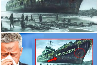 The Forgotten Echoes of the Mary Celeste