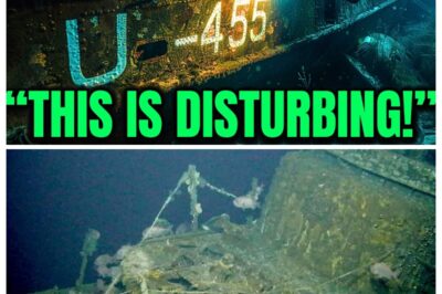 WWII Submarine Found With Crew Still Inside U-455 Mystery — Turn Pale When They Open…
