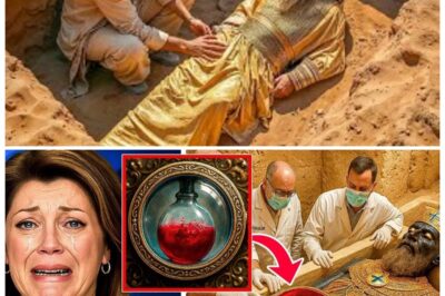 🏺 “MYSTERY REVEALED: After 5,000 Years, KING SOLOMON’S TOMB Is OPENED — And the Contents SHOCK the World!”
