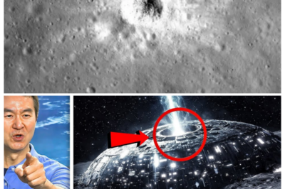 JAPANESE SCIENTISTS FINALLY BREAK THEIR SILENCE—AND WHAT THEY “REVEALED” ABOUT NASA’S MOON MISSIONS HAS SPACE FANS QUESTIONING EVERYTHING THEY THOUGHT THEY KNEW 🌕 What started as a routine press conference suddenly turned into a jaw-dropping spectacle as charts flashed, translators hesitated, and one quiet admission sent shockwaves through the room, leaving viewers clutching their seats like they’d just watched history itself crack open under fluorescent lights 👇