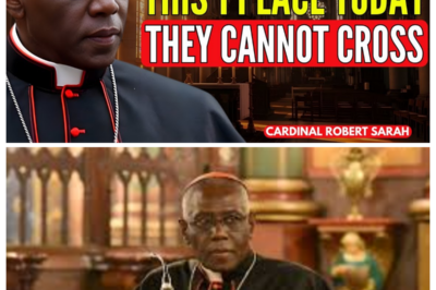 URGENT: THE SALT BOUNDARY — DO THIS TODAY TO SEAL YOUR HOME FOR FEBRUARY! | CARDINAL ROBERT SARAH