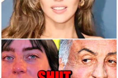 🐘 “Stars CRACK Under Pressure: The HILARIOUS Roast That Left Them Speechless! 🤯” “When the tables turn, the laughter is unstoppable!” Celebrities are losing it after being hilariously roasted in a recent twist that has taken social media by storm. Their over-the-top reactions have fans rolling with laughter, proving that even the most famous faces can’t escape a good joke. This is a must-see moment that will have you in stitches! 👇