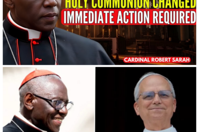 The Pope’s Sudden New Communion Rule — Cardinal Sarah Warns of a Dangerous Shift 6p