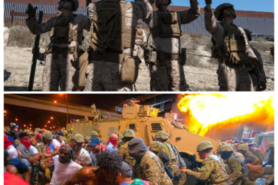 🚨 1 MIN AGO: DEA & FBI DESCEND ON MASSIVE TEXAS LOGISTICS HUB — 52 TONS OF METH SEIZED AS 20 POLITICIANS ALLEGEDLY TIED TO A SHADOW NETWORK ARE THRUST INTO THE SPOTLIGHT 🚨 What began as a quiet federal probe detonated into a sweeping raid of warehouses and boardrooms, with agents hauling out towering stacks of evidence while stunned insiders whisper that the real shockwave isn’t just the drugs — it’s the powerful names now facing intense scrutiny 👇