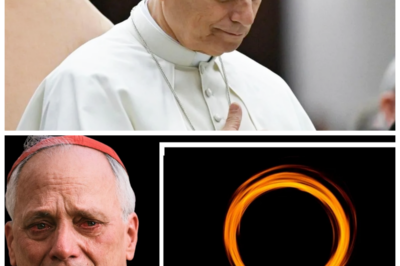 “Pope Leo Reveals the Truth About the 3 Days of Darkness: Prepare for the Unexpected!” 😲⛪🔮  In a captivating revelation, Pope Leo has finally addressed the much-debated topic of the 3 Days of Darkness, offering insights that challenge conventional beliefs. “This prophecy is not just a warning; it is a call to faith,” he explained, as he explored its implications for the modern world. As the discussion unfolds, followers are left to ponder the deeper meanings and potential outcomes of this significant event. Are you ready to uncover the truth that has been shrouded in mystery? 👇