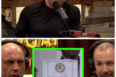 The Epstein Files and the Political Theater: A Conspiracy Unraveled! 💣📣 – “Prepare for shocking revelations!” In a whirlwind of controversy, the Epstein Files have sparked a political theater that unveils a potential conspiracy! 💣📣 “Prepare for shocking revelations!” insiders warn, as the connections between key figures and the implications of their actions are brought to light. As the public grapples with these revelations, the narrative continues to evolve, promising more twists and turns ahead. Stay tuned for an insightful exploration of this explosive topic! 👇
