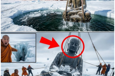 🦊 ANCIENT BUDDHIST STATUE ALLEGEDLY FOUND BURIED BENEATH ANTARCTIC ICE AND THE IMPLICATIONS HAVE HISTORIANS QUESTIONING EVERYTHING 🚨