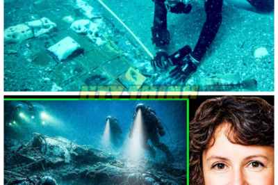 🙊 Unveiling the Haunting Secrets of the Challenger Disaster: A Sonar Revelation That Will Chill You to the Bone! 🔍⚡  In a shocking twist that rewrites history, Navy divers have unearthed the chilling truth behind the Challenger disaster, revealing a hauntingly intact crew compartment resting 85 feet beneath the Atlantic. As sonar technology unveils disturbing evidence, the question looms: were the astronauts conscious during their terrifying descent? With mysterious Russian intelligence ships lurking nearby and forensic clues pointing to a desperate struggle for survival, this urgent investigation delves into the dark corners of governmental secrecy. What did NASA hide from the public, and why? The clock is ticking as we uncover the unsettling truth that may forever alter our understanding of this tragic event. 👇