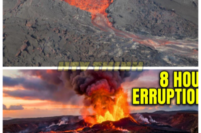 🙊 Kīlauea’s 8-Hour Eruption: A Volcanic Fury Threatens Hawaii’s Future! 🌋⏳  In a stunning display of nature’s wrath, Kīlauea Volcano erupted for a relentless eight hours, unleashing a torrent of lava fountains and flows that transformed Hawaii’s volcanic landscape into a fiery spectacle. As scientists monitor escalating magma movement and seismic signals, they warn that a larger eruption could be imminent this week, raising alarms across the region. The excitement of witnessing such raw power is tempered by the chilling reality that communities could be at risk of devastation. Will residents be prepared for the chaos that lies ahead, or will they be caught unawares in the wake of Kīlauea’s fury? 👇