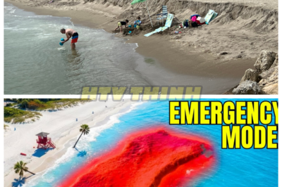 🙊 Florida’s Beaches Vanish: Sinkholes Devour Coastline in Catastrophic Collapse! 🌊💔  A shocking environmental crisis is unfolding along Florida’s coast as massive sinkholes erupt, swallowing beloved beaches and critical infrastructure in a matter of moments. The state’s fragile limestone foundation, long weakened by years of erosion and water saturation, is crumbling at an alarming rate, while rising river waters flood communities and exacerbate the devastation. Emergency management teams scramble to evacuate affected areas, but with the tourism industry hanging in the balance, the stakes have never been higher. Will Florida recover from this unprecedented disaster, or is this just the beginning of a much larger catastrophe? 👇