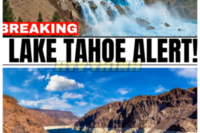 🙊 Impending Catastrophe: Lake Tahoe’s Rising Waters Signal Seismic Crisis! 🔥🌪️  In a shocking development, Lake Tahoe’s water levels have surged to 6,229 feet, igniting fears of an imminent disaster as seismic pressure mounts along a nearby fault capable of a devastating magnitude 7.3 earthquake. Scientists are on high alert, monitoring ground deformation and fault stress as the region’s geological stability hangs in the balance. With the threat of a catastrophic quake looming, the urgency for preparedness intensifies, leaving residents to wonder: will the serene beauty of Lake Tahoe soon be transformed into a scene of chaos and destruction? 👇