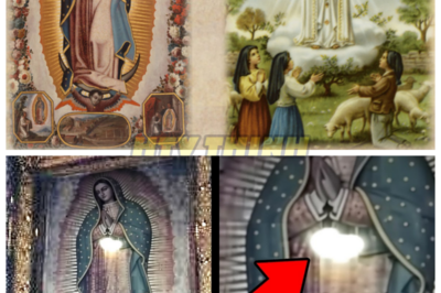 🙊 The Hidden Secrets of Our Lady: A Dark Revelation Unveiled 🔍⚡  In a world where faith meets the inexplicable, the miraculous image of Our Lady of Guadalupe holds more than just religious significance—it conceals a web of mysteries that could alter history as we know it. Set against the backdrop of 1531 on Tepeyac Hill, this gripping exploration reveals how Juan Diego’s tilma defied the laws of nature, surviving centuries without explanation. As scientists and theologians delve into the astonishing findings surrounding this sacred icon, they uncover hidden symbols and miraculous events that challenge our understanding of reality. But as the clock ticks down on a looming revelation, the question remains: what dark truths lie beneath the surface, waiting to be exposed? 👇