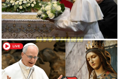 🙊 Pope Leo XIV Unveils Shocking Secrets of the Hidden Gospel of Mary! 🔍⚡  In a startling revelation, Pope Leo XIV has brought forth the hidden Gospel of Mary, a text that could redefine our understanding of faith and the end times. This extraordinary disclosure promises to unveil profound truths about spiritual resilience and the divine messages that have been kept in the shadows for centuries. As believers grapple with feelings of spiritual fatigue and doubt, the urgency to reclaim their faith intensifies, raising questions about the true nature of divine communication in today’s chaotic world. What did Mary truly say about the end, and why has this knowledge remained obscured for so long? The answers may hold the key to a transformative awakening or plunge us deeper into uncertainty. 👇