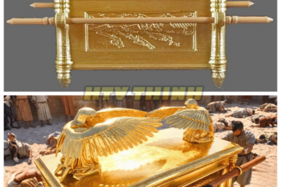 🙊 Unveiling the Secrets: The Ark of the Covenant’s Dark Legacy Revealed 🔍⚡  In a race against time, a team of archaeologists and historians unearths the Ark of the Covenant, a relic shrouded in mystery and power. As they delve deeper into its origins, they uncover chilling truths about its construction and the sinister purposes it served throughout history. With each revelation, the stakes rise, threatening not only their lives but the very fabric of belief itself. Will they expose the truth before it consumes them, or will the dark forces tied to the Ark reclaim their hold? What horrors lie in wait as the past collides with the present? 👇