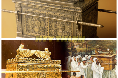 🙊 The Ark of Secrets: Unveiling the Dark Truth Behind 3,000 Years of Mystery 🔍⚡  In a world where ancient artifacts hold unimaginable power, the Ark of the Covenant has vanished for millennia, shrouded in mystery and fear. As archaeologists uncover chilling evidence of its existence, a race against time begins; hidden beneath Jerusalem’s Temple Mount, the Ark’s dark legacy threatens to resurface, igniting political and spiritual turmoil. With each revelation, the stakes rise, leading to a harrowing confrontation that could unleash forces beyond comprehension. Will humanity be prepared for the truth, or will the secrets of the Ark consume us all? 👇