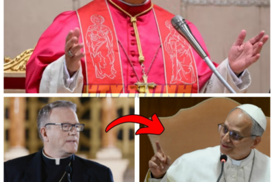 🙊 When Faith Meets Doubt: The Clash of Two Church Titans Unfolds in a Shocking Revelation 🔍⚡  In a gripping tale that blurs the lines between faith and heresy, Pope Leo XIV publicly confronts Bishop Robert Barron over his controversial theological teachings, igniting a firestorm within the Catholic Church. As tensions rise, what begins as a potential investigation spirals into a profound dialogue that challenges the very foundations of belief. With the clock ticking and the stakes higher than ever, both leaders must navigate their intellectual differences or risk tearing the Church apart. Will their quest for understanding lead to enlightenment or plunge them into a deeper abyss of doubt? The world watches, holding its breath for the outcome of this unprecedented encounter. 👇