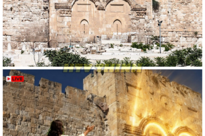 🙊 The Golden Gate Conspiracy: Secrets of Jerusalem’s Sealed Entrance Revealed 🔍⚡  For 500 years, the Golden Gate of Jerusalem has remained sealed, shrouded in mystery and guarded by a Muslim cemetery, all to prevent a prophecy from unfolding. As we explore this ancient site from the Mount of Olives, shocking revelations emerge: the Ottoman Sultan’s hidden motives for sealing this gate, archaeological evidence of its original structure, and the biblical prophecies that foretell the Messiah’s return through this very entrance. With tensions rising among three major religions and the clock ticking toward an uncertain future, what secrets lie behind the stones, and what will happen when this prophetic gateway finally opens? The fate of faith and prophecy hangs in the balance, and the answers may change everything we thought we knew about the end times. 👇