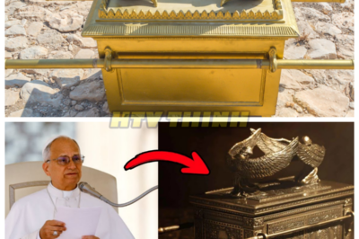🙊 The Vatican’s Shocking Revelation: The Ark of the Covenant’s True Location Exposed! 🔍⚡   In a world gripped by political tension and religious upheaval, Pope Leo XIV has made a jaw-dropping announcement that could alter the course of history. The Ark of the Covenant—believed to be lost forever—has been found, but its location defies all expectations, hidden in a site that challenges centuries of belief. As global powers scramble to control this newfound truth, the Pope dares to declare that the Ark belongs to humanity, igniting a firestorm of conflict and intrigue. With time running out and secrets threatening to unravel, what will this revelation mean for faith and power? 👇