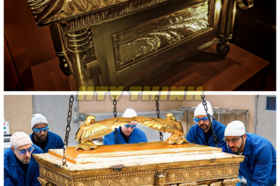 🙊 The Ark of the Covenant Unveiled: Secrets That Could Alter Faith Forever 🔍⚡  In a stunning revelation, scientists claim to have unearthed the legendary Ark of the Covenant, hidden for over 3,000 years in a remote Ethiopian cave. As the world grapples with the implications of this discovery, the ticking clock of faith and skepticism intertwines, raising questions about the very foundations of religion. What ancient truths lie within this sacred artifact, and who will pay the price for unlocking its secrets? As the narrative unfolds, a chilling possibility emerges: could this relic hold the power to reshape humanity’s understanding of the divine, or will it unleash forces beyond our control? 👇