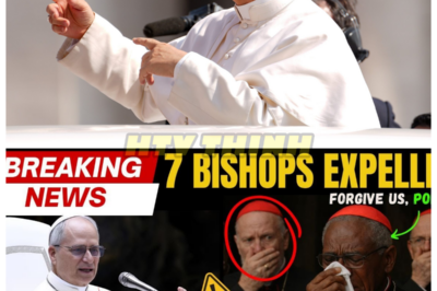 Pope Leo XIV’s Shocking Banishment of Seven Bishops: A Dark Conspiracy Unfolds!    In a stunning and unprecedented move, Pope Leo XIV has banned seven bishops from the Church, leaving the Vatican reeling in confusion and fear. As whispers of scandal and intrigue swirl through the hallowed halls, the faithful are left to wonder what dark secrets lie behind this shocking decision. With the clock ticking and tensions rising, the Church faces an existential crisis that threatens to unravel its very foundations. What hidden truths are being concealed, and what will be the personal cost of this unprecedented upheaval? 👇