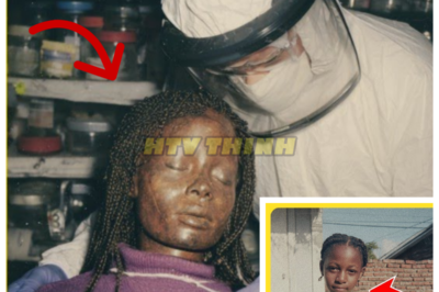 The Haunting Mystery of the Doll’s Hair: A Tale of Loss and Discovery