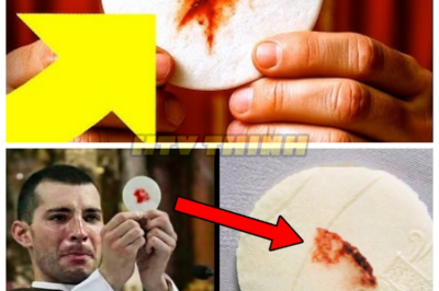 🙊 The Eucharistic Enigma: Faith Meets Science in a Dark Revelation 🔍⚡  In the quiet town of Sokółka, Poland, an ordinary liturgical ritual spirals into a chilling investigation that intertwines faith and science. As medical professionals meticulously analyze a mysterious occurrence, the clock ticks down to a crucial ecclesiastical declaration that could shatter beliefs and expose hidden truths. With each revelation, the stakes grow higher, leading the local Church to confront a haunting dilemma: can faith withstand the scrutiny of scientific inquiry? As the community grapples with the implications, a sinister question looms—what happens when miracles are put under the microscope? 👇